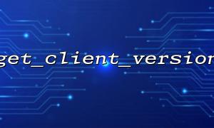 Custom extension get_client_version supports more client information