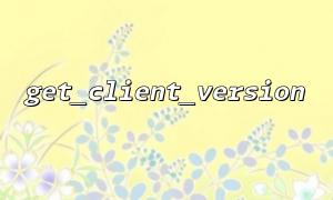 Why can't get the real version number in get_client_version?