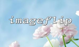 Performance optimization suggestions when flipping large images using imageflip function