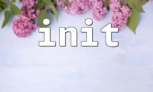 Solve the problem of initialization failure in init function