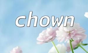 Analysis of behavior of chown function on Windows system