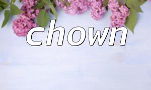 How to combine chown with file_exists function in PHP to ensure safe operation?