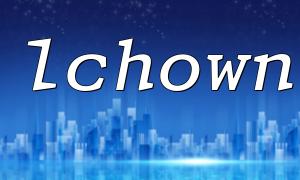 Availability of lchown function in Windows system