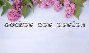 Common errors and solutions in socket_set_option functions