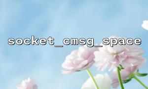 Use socket_cmsg_space in PHP to implement control message management of custom network protocols