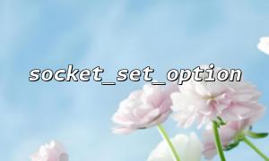 Use SO_RCVBUF to configure large packet transmission with socket_set_option