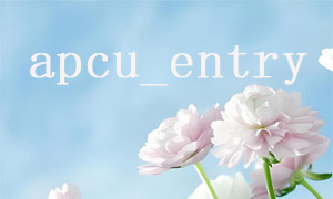 So vermeiden Sie das Penetrationsproblem apcu_entry cache