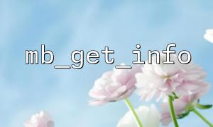 How to use mb_get_info with mb_http_input to get encoding in HTTP request