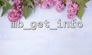 Application of mb_get_info in multilingual support: the key to global development