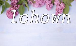 Detailed explanation of the basic usage of PHP lchown function