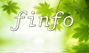 The correct way to read file information using finfo