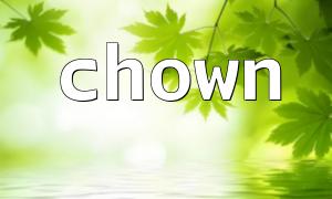 Permissions issues that must be paid attention to when modifying file owners using chown