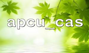 Type matching problem and avoidance method in apcu_cas function operation