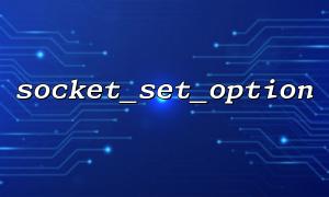 使用 socket_set_option 设置 TCP 套接字的 TCP_NODELAY 选项