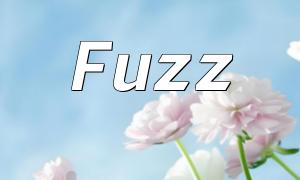 Fuzz审计在PHP中的应用与实践