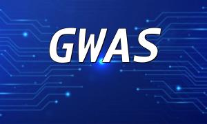 GWAS分析的PHP实现方法