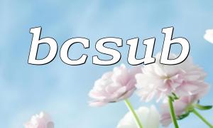 bcsub 在高频计算中的性能优化建议