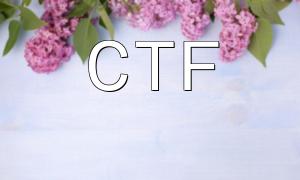 CTF 경쟁에서 PHP 분석 기술에 대한 토론