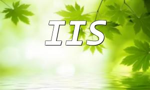 IIS 환경에서 PHP 프로그램의 빈 페이지에 대한 솔루션