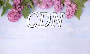 Kombination von CDN und PHP: Best Practices zur Optimierung der Website -Leistung