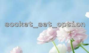 如何使用 socket_set_option 调整 socket 的数据发送延迟