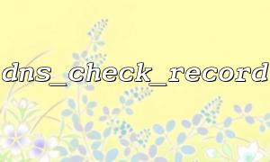 dns_check_record関数がnull値を返すための理由と修正