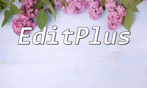 EditPlus에서 PHP 코드의 자동 완료 기능 안내