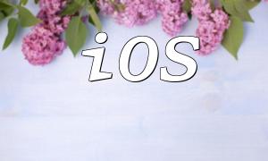 iOS တွင် PHP ငွေပေးချေမှုမျက်နှာပြင်ပေါင်းစည်းရန်လမ်းညွှန်