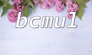 BCMUL을 사용하여 고정밀 부동 소수점 곱셈을 구현하는 방법