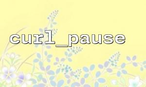 curl_multi_exec과 함께 curl_pause 및 curl_multi_exec 사용에 대한 메모