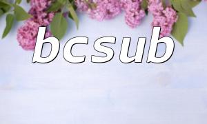 왜 BCSUB가 금융 시스템에서 사용해야 하는가?