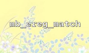 MB_EREG_MATCH 일반적인 정규 표현식 작성 예제