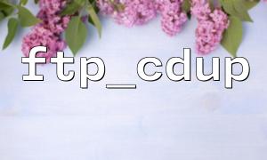 ftp_cdup 함수가 거짓을 반환하는 일반적인 이유와 솔루션