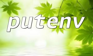 PHP PutenV 기능으로 환경 변수를 설정하는 방법