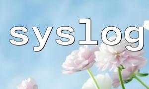 Syslog를 통해 원격 로깅 기능을 설정하십시오