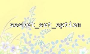 높은 동시 연결을 최적화하려면 socket_set_option으로 so_rcvbuf를 설정하십시오