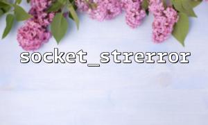 Socket_strerror를 사용하여 소켓 오류 메시지를 얻는 방법