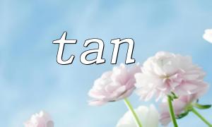 Häufige Mathematik -Genauigkeitsfehlerprobleme bei der Verwendung von PHP Tan () -Funktion