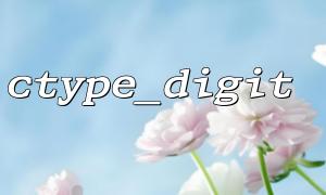 Sicherheitsverbesserungslösung zur Überprüfung reiner digitaler IDs mit CTYPE_DIGIT