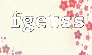 FGetSSS -Optimierungslösung bei der Verarbeitung großer Dateien