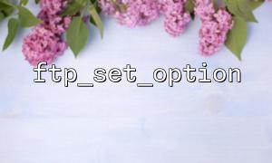 Beispiel für ftp_set_option, das die Größe der FTP -Übertragungspuffer anpasst